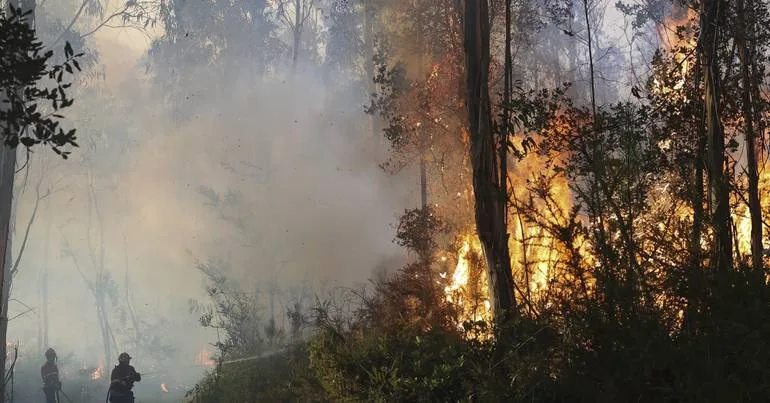 Incendiário condenado voltou a ser detido por atear fogo