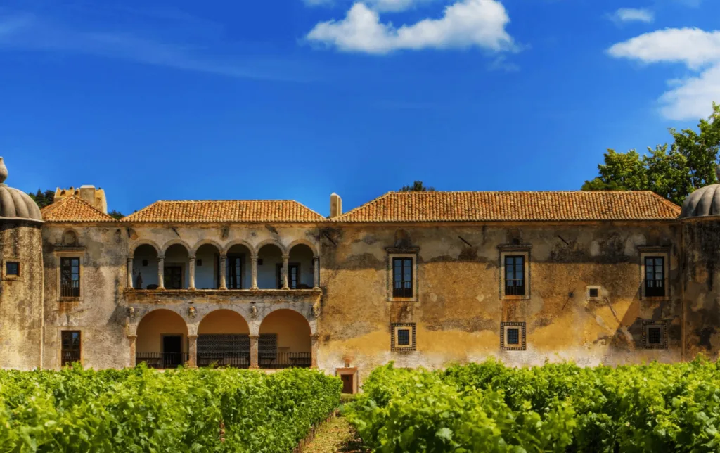 Vinhos: Bacalhôa reforça presença no mercado do Brasil