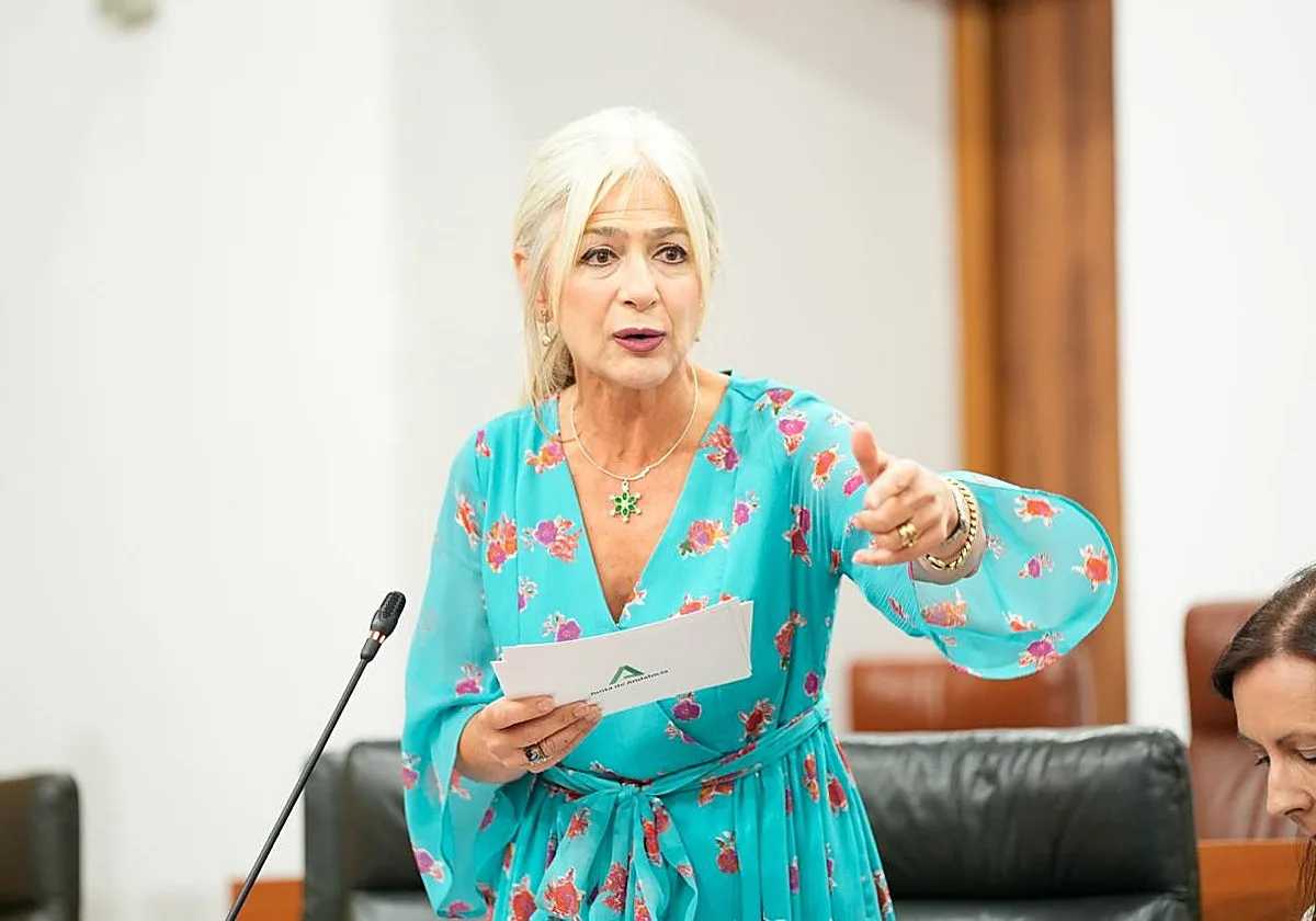 Patricia del Pozo denuncia que las salas de cine andaluzas perderán 1,4 millones de euros por la deficiente gestión del Gobierno