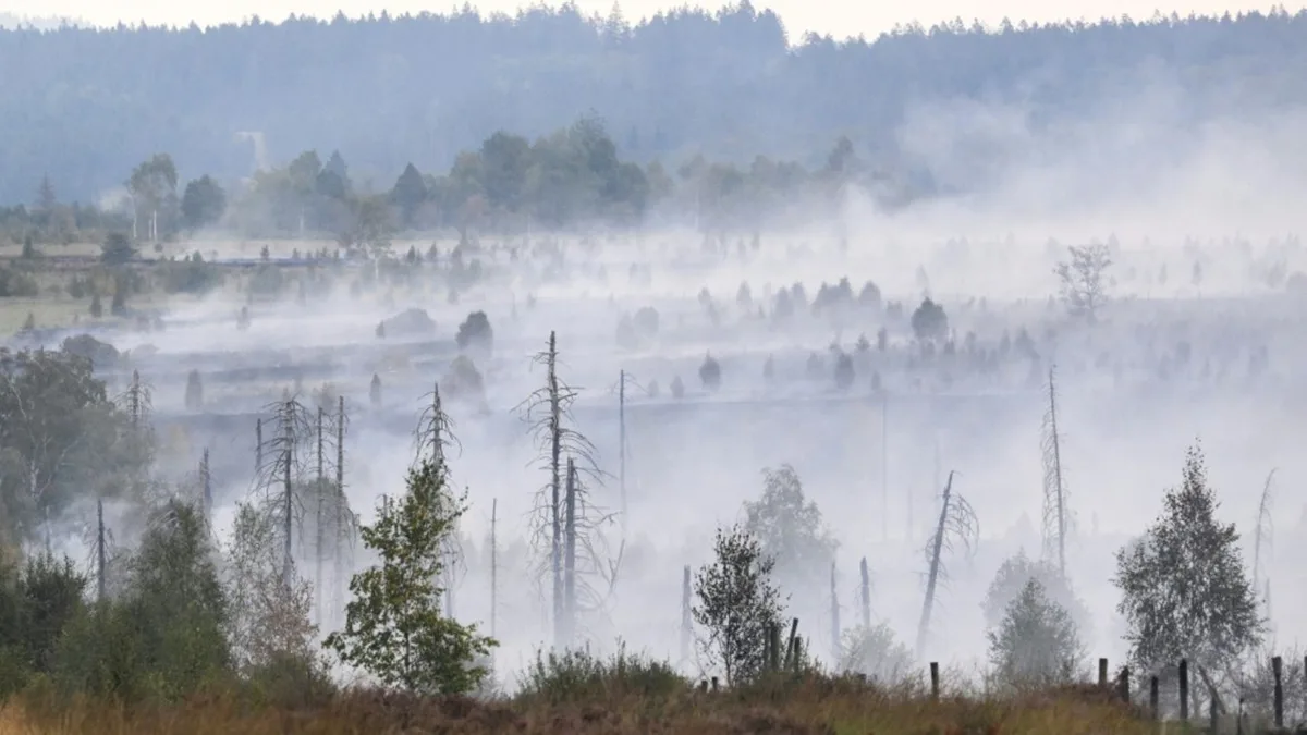EU-Krisenkommissarin besucht Waldbrandgebiete in Deutschland und Belgien