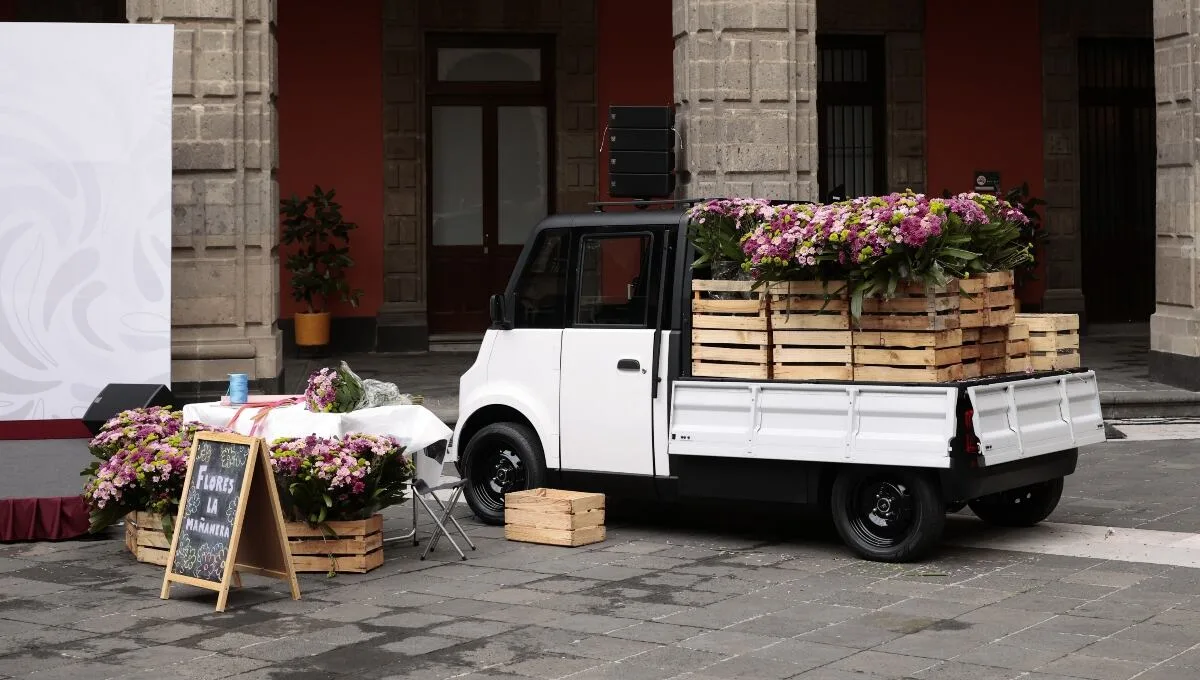 Olinia Carga y Van: Los autos eléctricos que se conectarán al enchufe de tu casa, con autonomía de 120 km