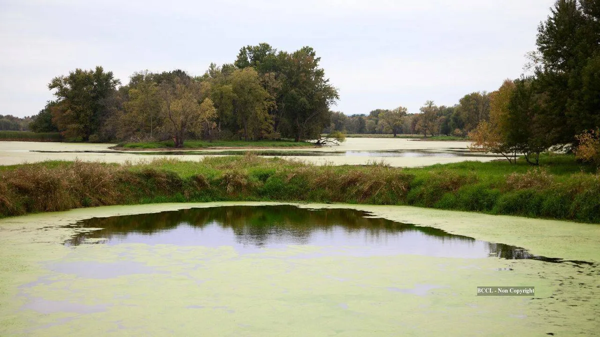 Wisconsin family’s 2,000 floodplain acres protected after decade-long fight