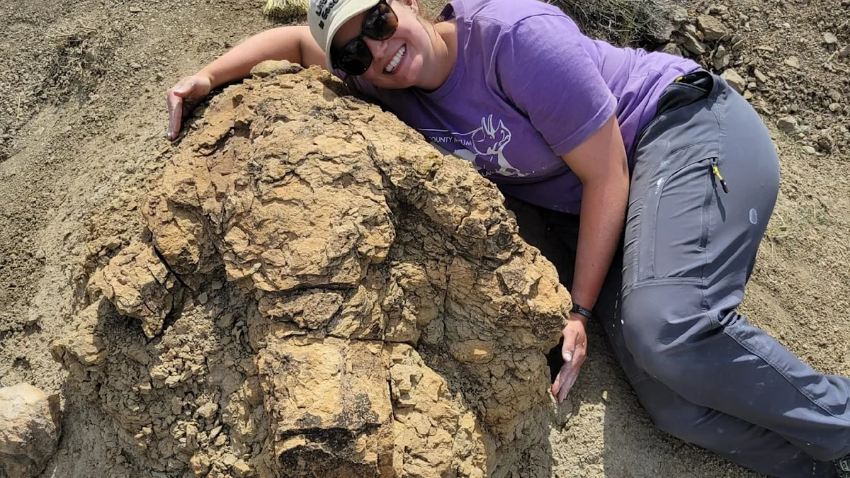 Abdrücke einer XXL-Kralle - Forscher finden erstmals Fährte eines T-Rex