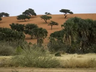 Au moins 60 morts dans l’effondrement d’une mine au Soudan, de nombreux disparus encore sous les décombres
