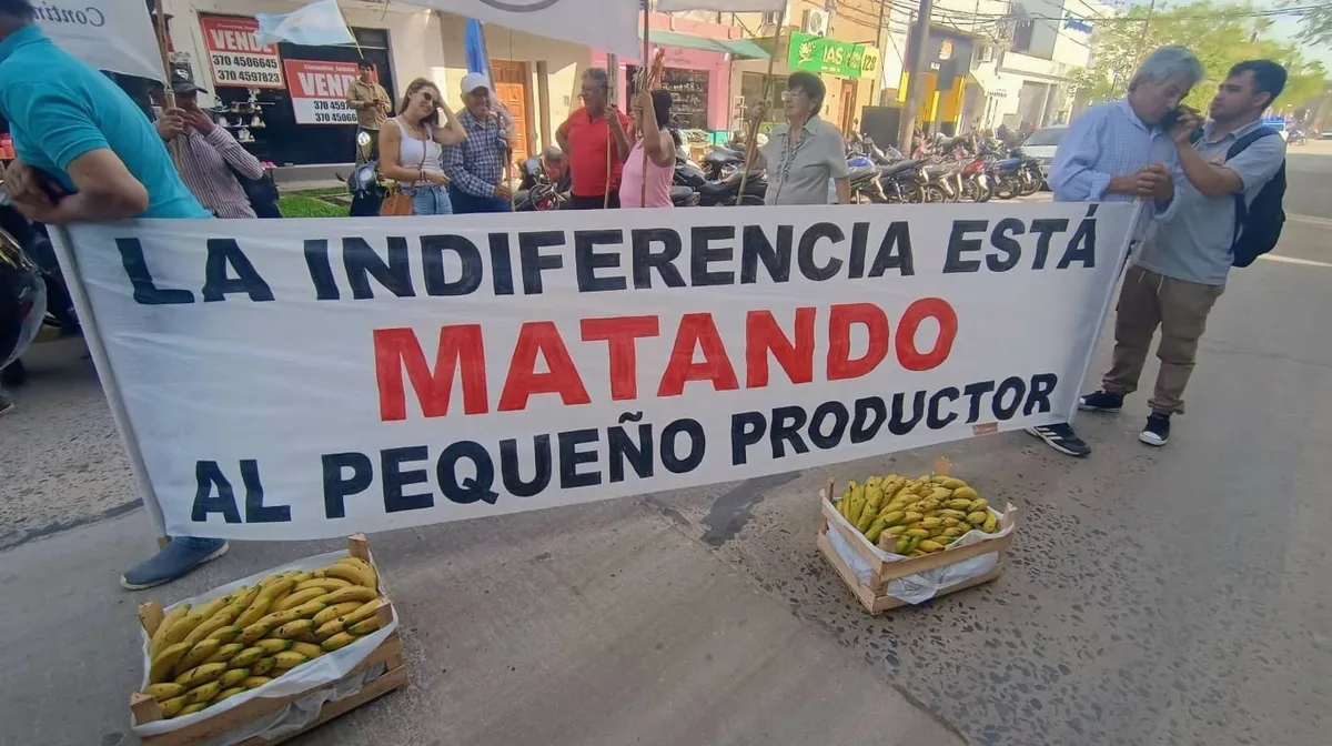 Bananeros se movilizan en Formosa y regalarán 5000 kilos de fruta por la crisis del sector