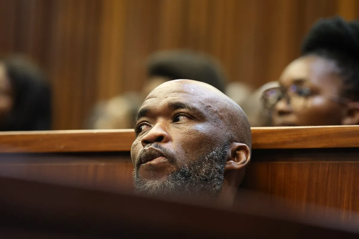 WATCH LIVE | ‘Cat’ Matlala expected to testify before Madlanga commission