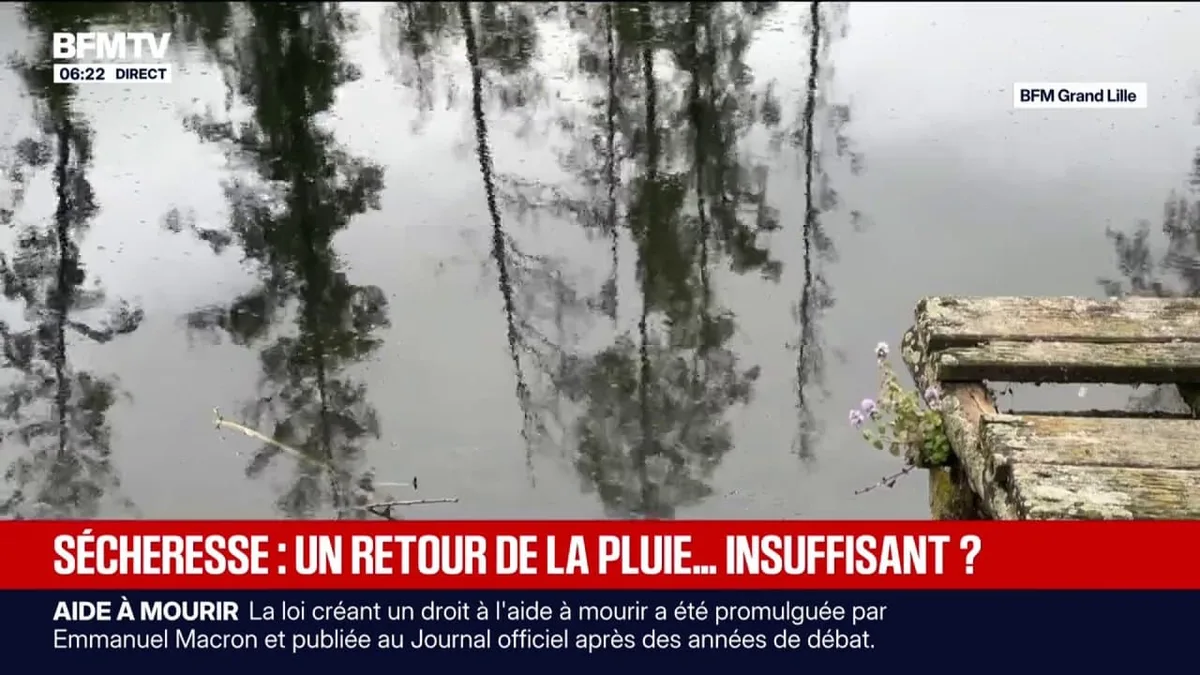 Sécheresse: le retour de la pluie ces prochains jours sera-t-il suffisant?