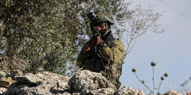 En Cisjordanie occupée, les images d’une récole d’olives sous la menace des attaques de colons