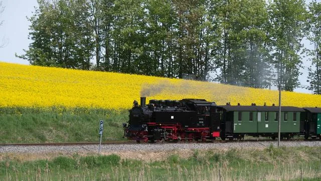 Polizei-Einsatz: Autofahrer übersieht «Rasenden Roland» und baut Crash