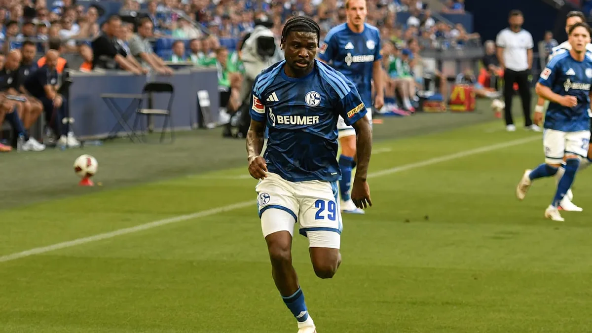 Transfers & Analysen - So verändert die KI Schalke