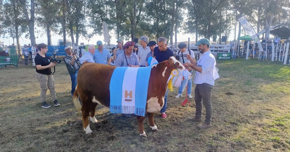 La 37° Expo Rural de Conesa y 14° Exposición Nacional Patagónica de Hereford en un clic, un paseo por quienes hacen realidad la ganadería de la Patagonia