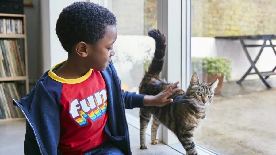 Study links cats to more anxiety, behavioral issues in young kids