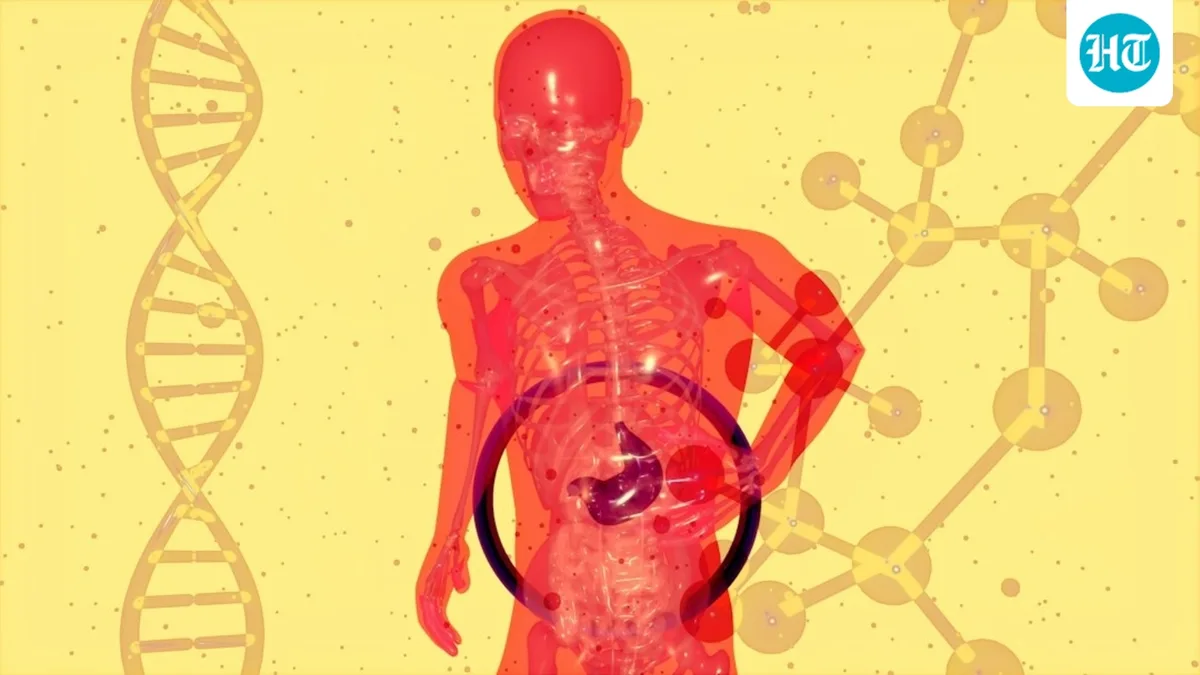 Normal weight doesn't always mean a healthy liver: Surgeon explains why Indians in their 20s and 30s are developing fatty liver