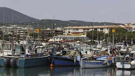 Var : opération de déminage à Sainte-Maxime, après la découverte d'un obus datant de la Seconde Guerre mondiale
