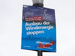 Blaue Hochburgen, grüne Skepsis: "Ohne AfD-Aufstieg hätte es substanziell mehr Solaranlagen geben können"