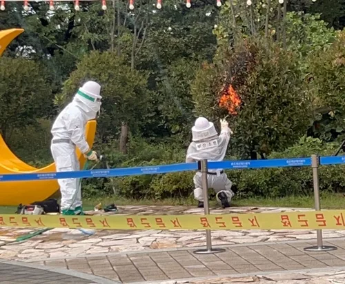 부산 해상케이블카 인근서 외국인 관광객 등 15명 말벌에 쏘여(종합)