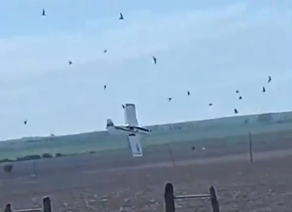 Una avioneta se estrelló en un campo de Entre Ríos mientras realizaba tareas de fumigación