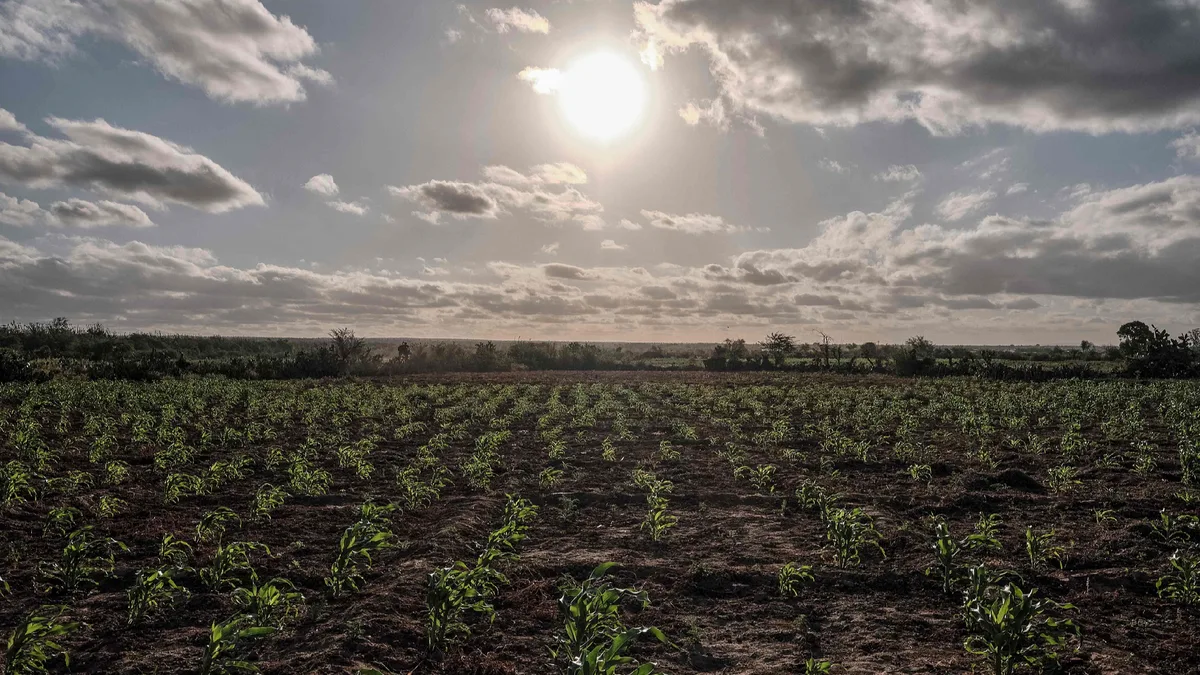Super El Nino event formed in September, Chinese climate center says