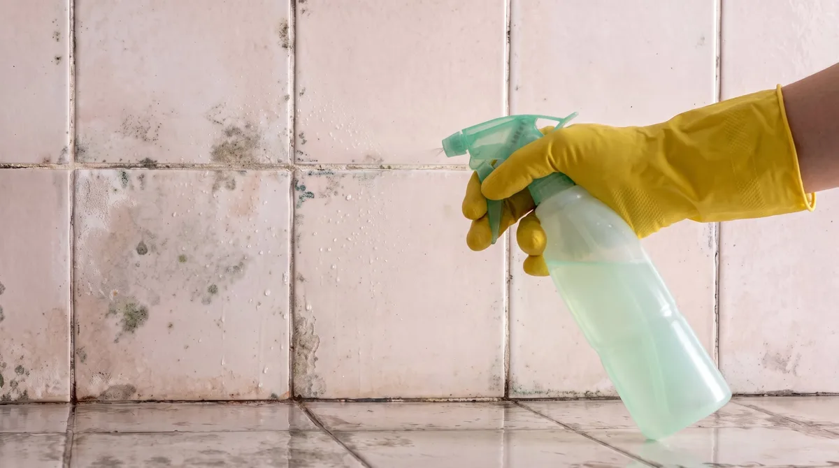 Por qué no debes usar cloro sobre el moho del baño: esta mezcla casera lo elimina de raíz