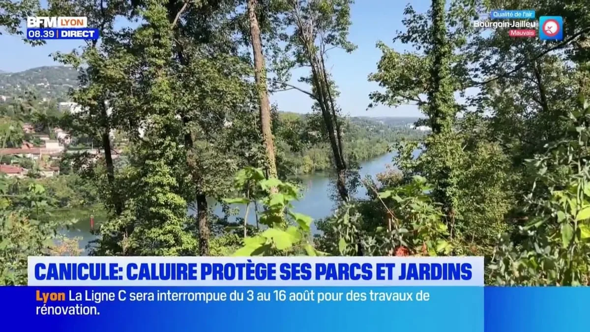 Canicule : la ville de Caluire s’adapte pour protéger ses parcs et jardins