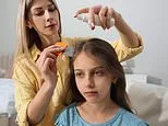Popular head lice treatment contains chemical scientists say could increase breast cancer risk