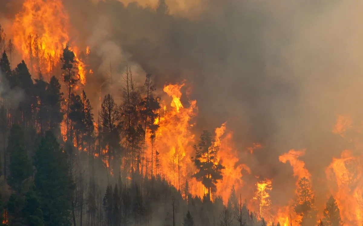 « Ce que les flammes cachent » : des scientifiques découvrent les molécules qui font basculer l’incendie