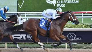 Retiran a ganador del Florida Derby (G1) para convertirlo en semental