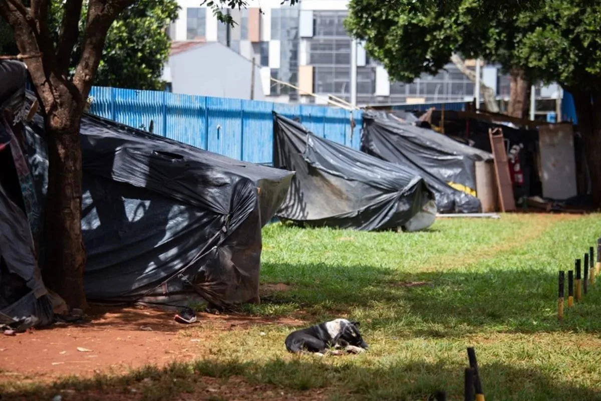 Morador de rua internado involuntariamente tinha baratas sobre o corpo