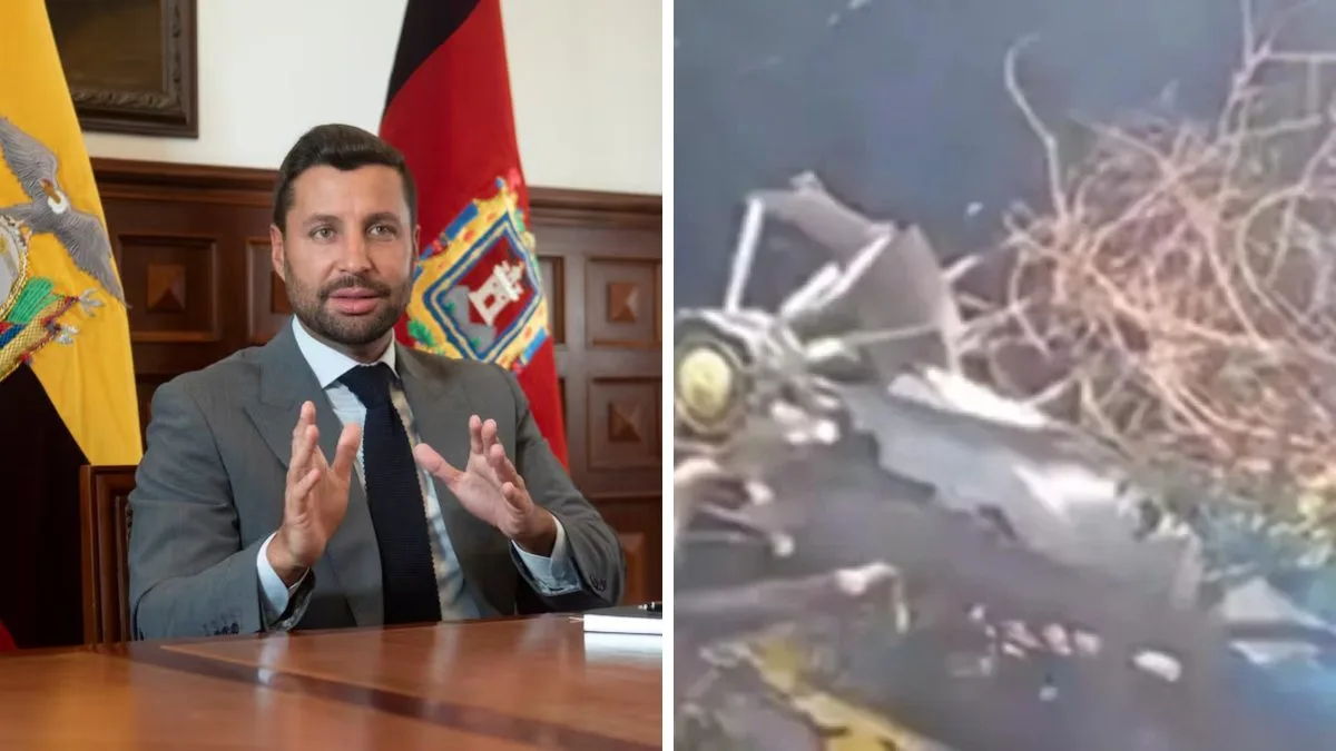 Chefe da inteligência do Equador e mais seis pessoas morrem em queda de helicóptero de safári no Quênia