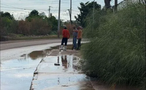 Fuertes lluvias en Ahome, Sinaloa, causan inundaciones en viviendas y dejan vehículos varados; nueve familias fueron evacuadas