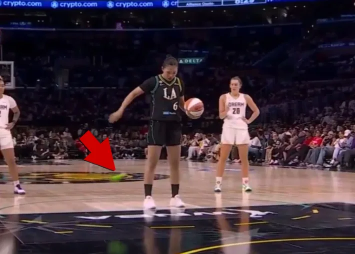 '경기장에 성인용품 투척?' WNBA 트렌스젠더 논쟁
