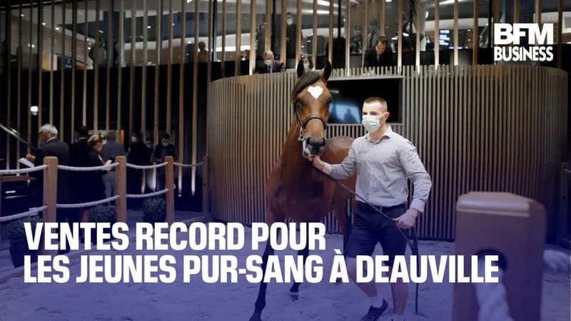 Ventes record pour les jeunes pur-sang à Deauville