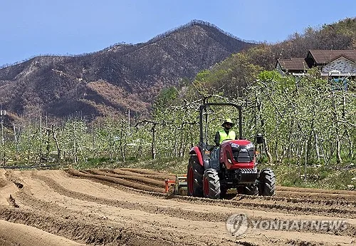 "청송 산불피해지 복원"…백두대간수목원, 대학생 대상 실무교육