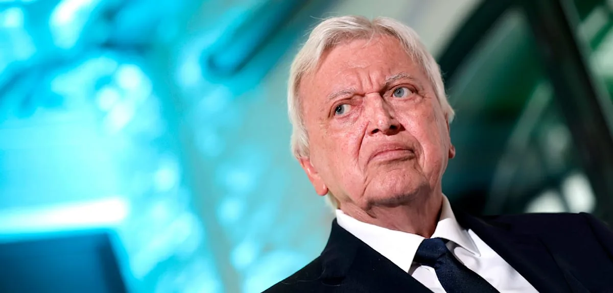 „Merz hat eigentlich kaum noch etwas zu verlieren. Er kann aber gewinnen“