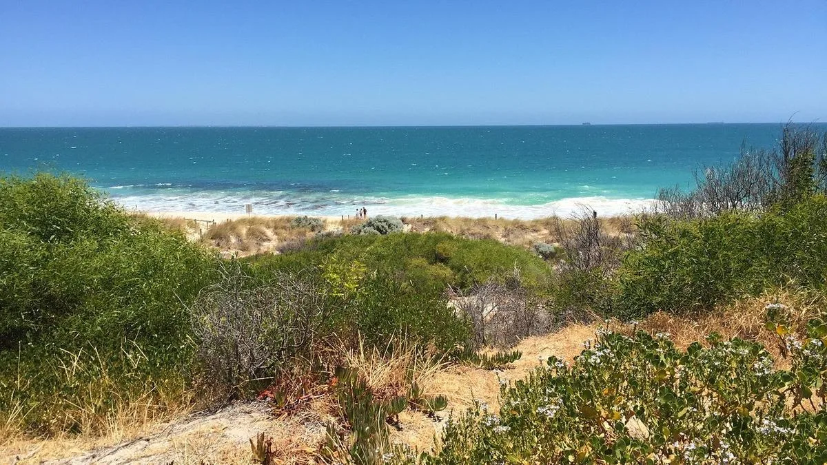 Bid to increase protection for Cottesloe’s vulnerable coastline as town approves new advisory group