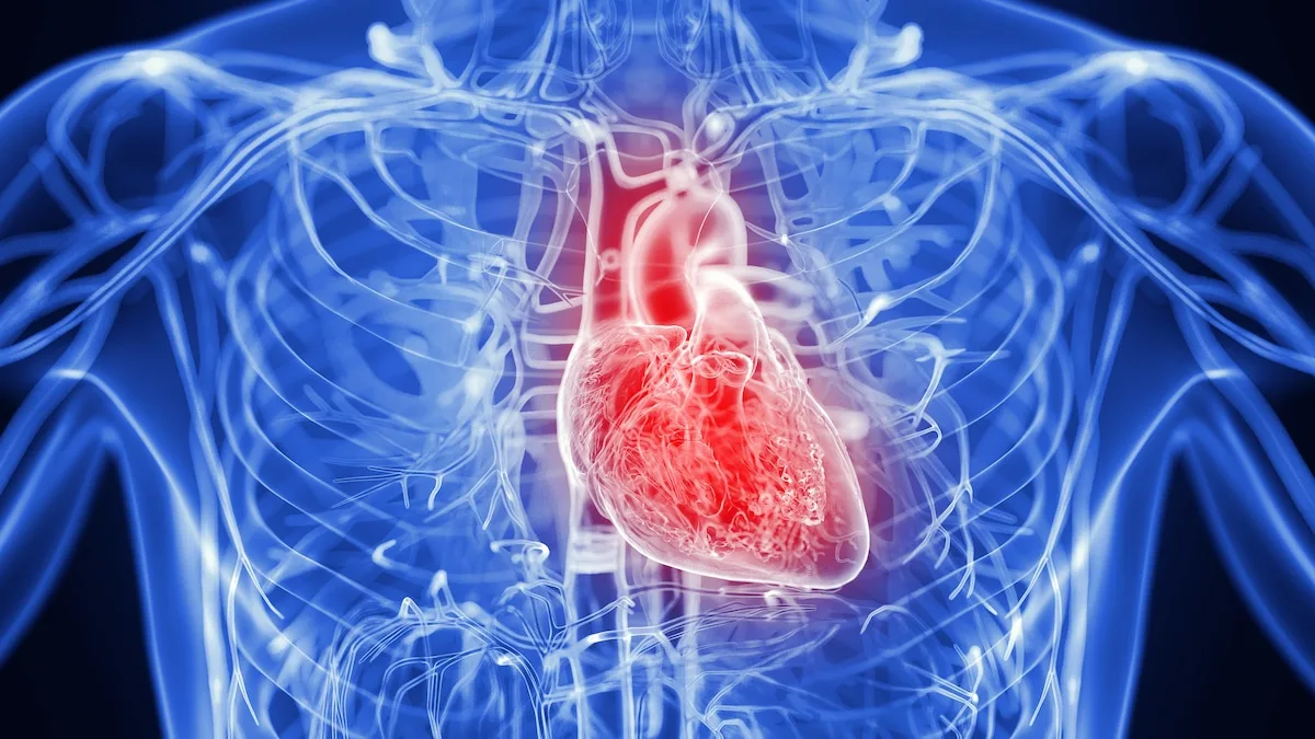 Statine senken Risiko für Herzinfarkt um 30 Prozent – bei Älteren ohne Vorerkrankung