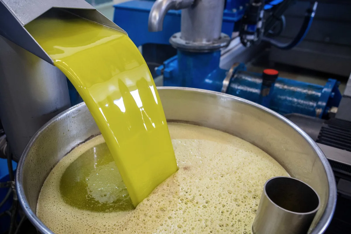 Portugal produz mais azeite e vinho do que consome. Então por que razão os produtores estão em dificuldades?