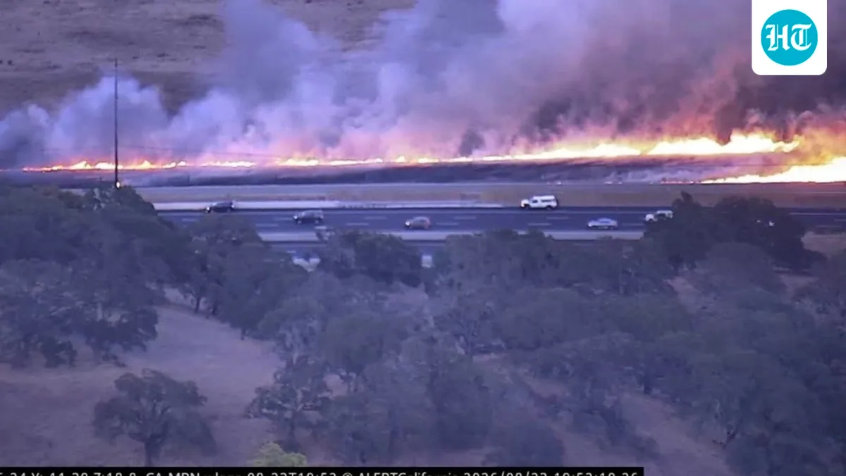Petaluma Fire update: Vegetation fire near Highway 101 stopped after spreading into Sonoma County solar facility