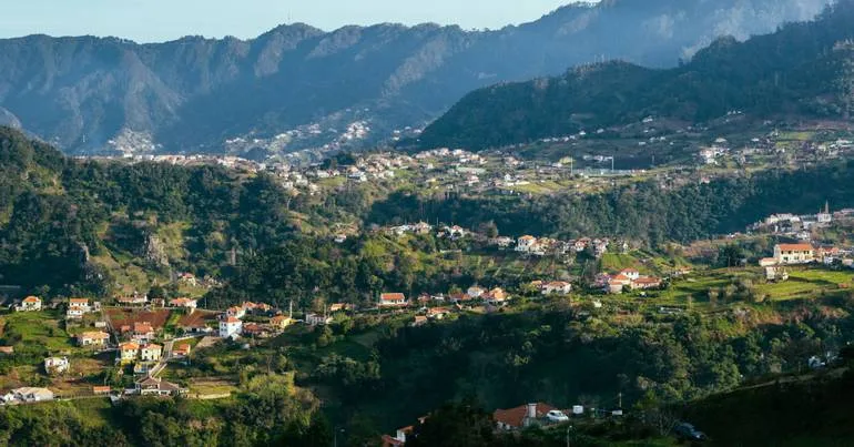 Norovírus provoca surto de gastroenterite no Faial