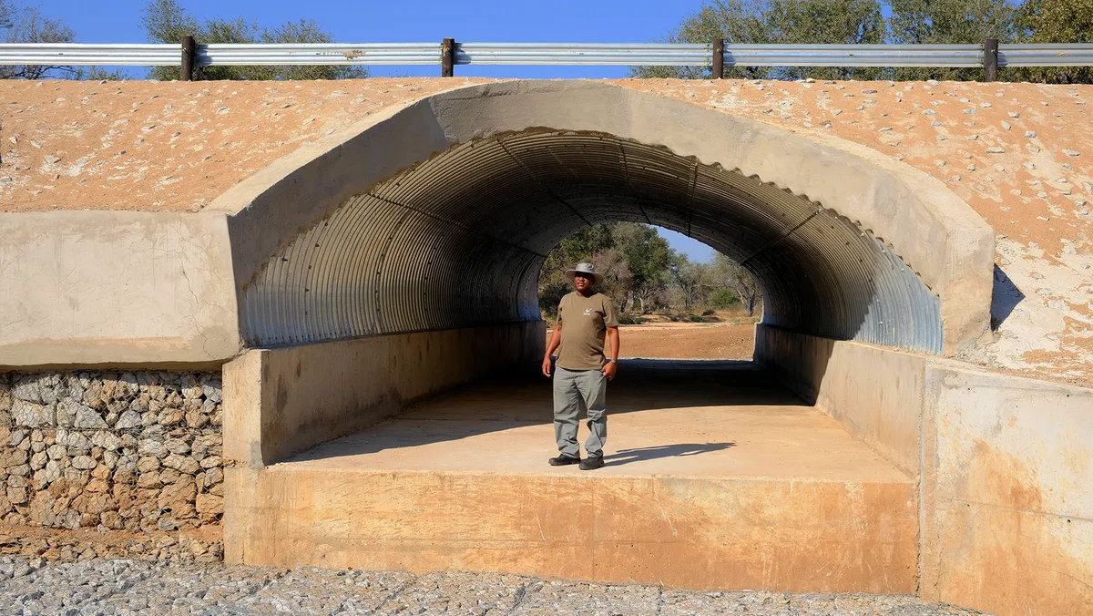 RESILIENT RECOVERY: Brainstormed: How Kruger Park is rethinking the humble culvert