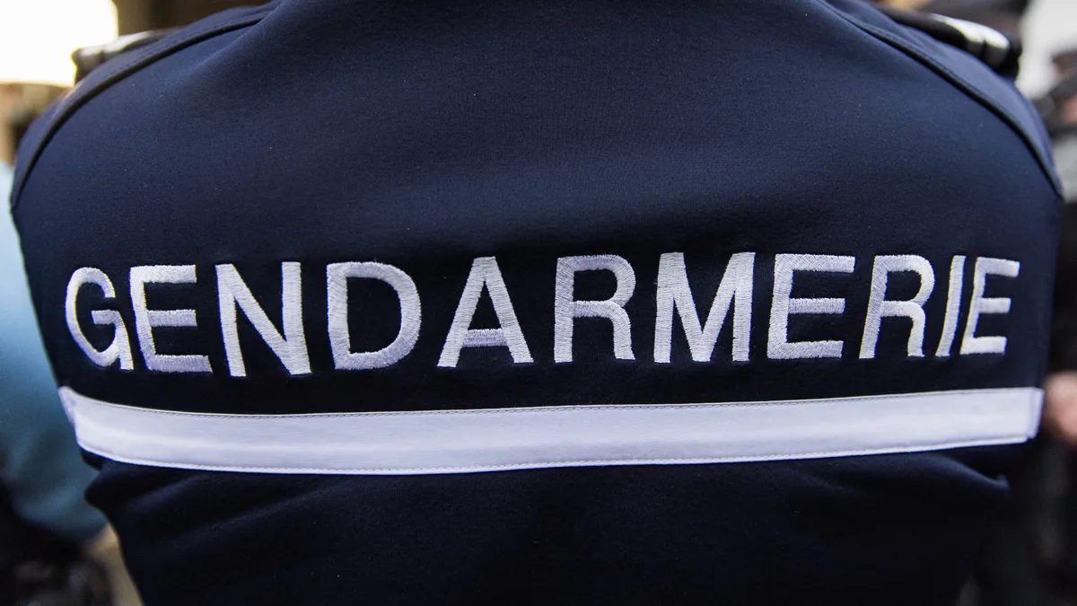 Trois mineurs poursuivis pour apologie du terrorisme après avoir repris devant un lycée une chanson de rap faisant référence à Mohamed Merah et Salah Abdeslam