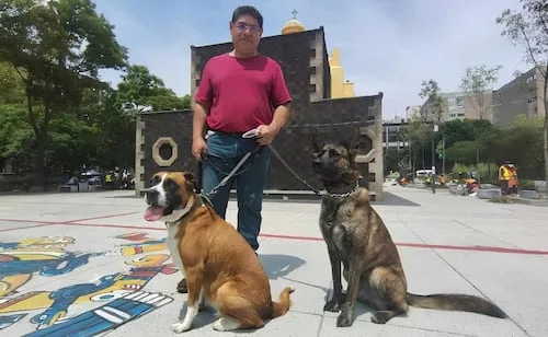 Alcaldía Cuauhtémoc y Secretaría de Salud CDMX realizan jornada gratuita de esterilización y vacunación antirrábica de perros y gatos; ¡toma nota!