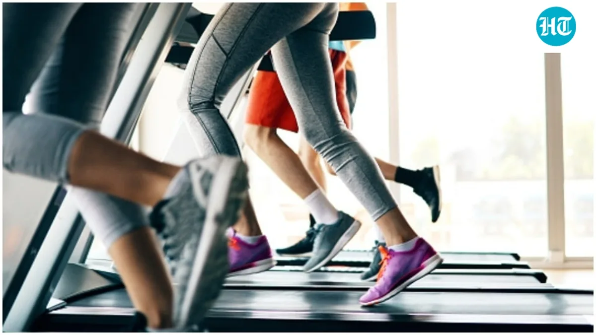What benefits does cardiovascular exercise offer your body? Here's how you can choose the perfect cardio machine for your home gym