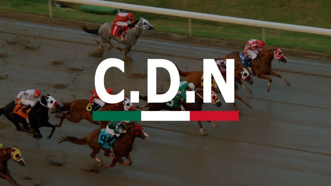 EU sanciona a red del Cártel del Noreste vinculada con carreras de caballos y empresas