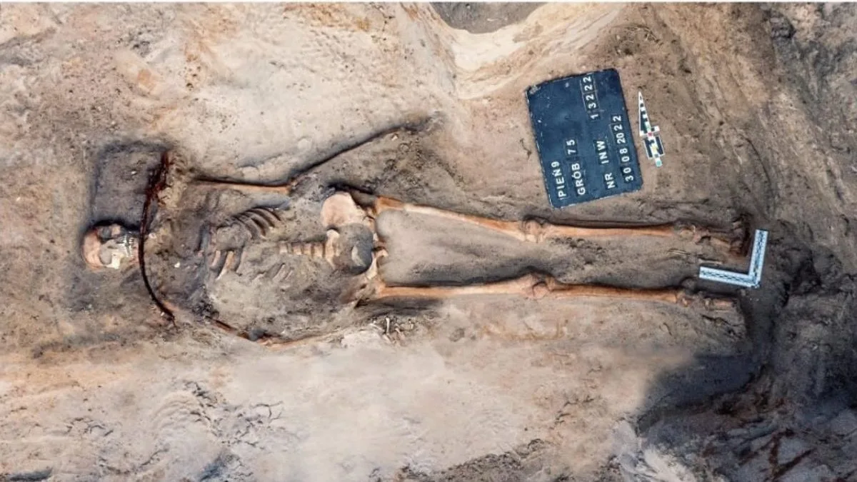 Túmulo de 400 anos revela ritual contra ‘vampiros’ com foice no pescoço de jovem de 18 anos na Polônia