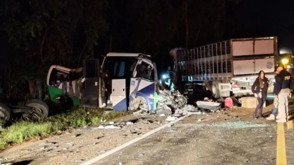 Micro-ônibus levava pacientes para hospitais antes de acidente com 23 mortos na BR-373, no Paraná