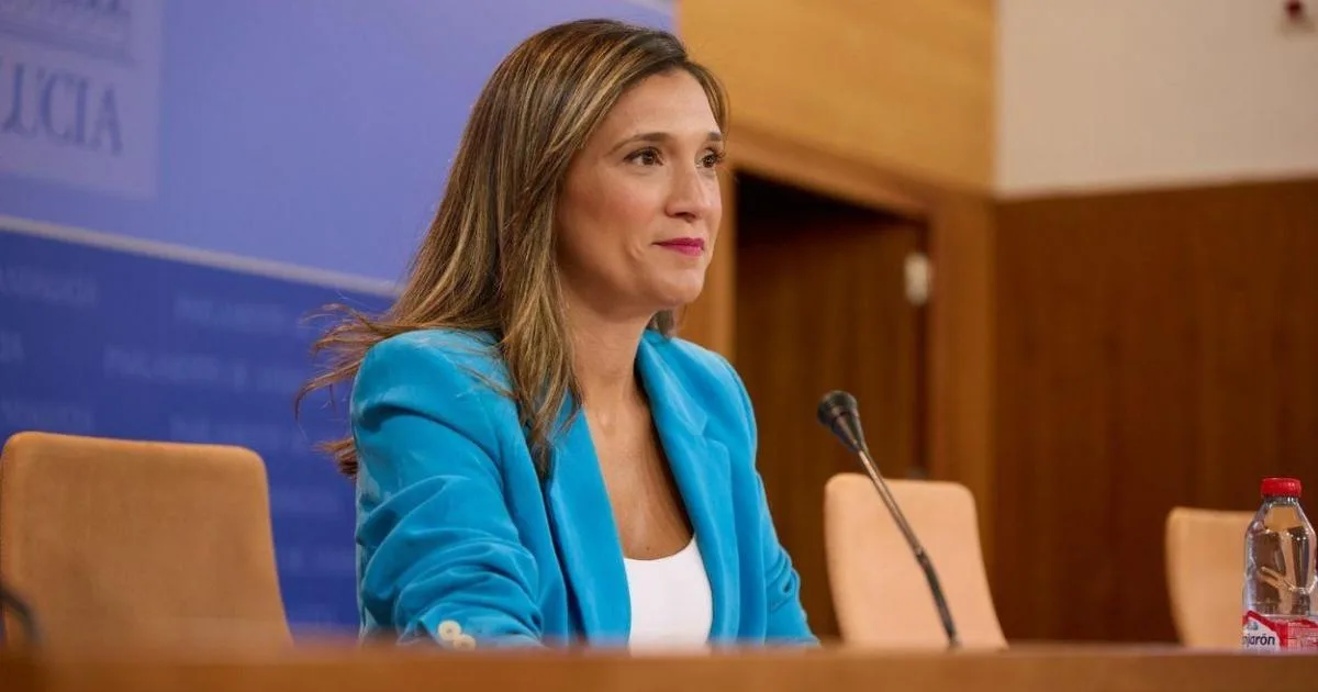 El PSOE-A registra 109 iniciativas en las primeras comisiones parlamentarias y acusa al PP de "esconder el debate"