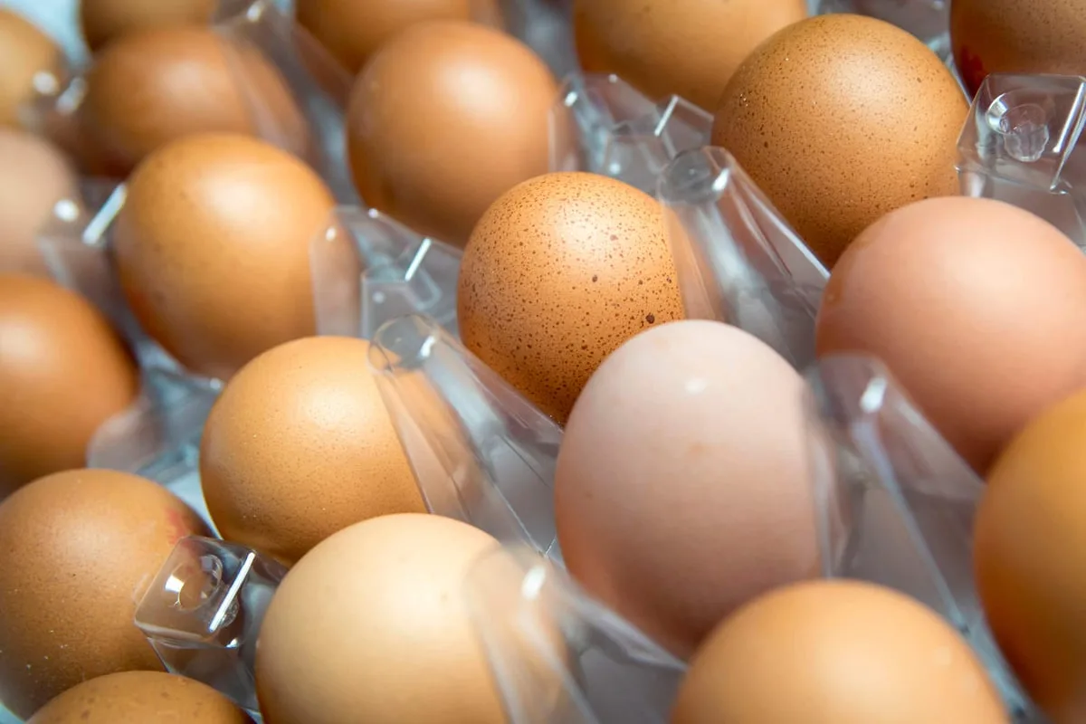 Salmonella outbreak may be linked to imported eggs, say health officials