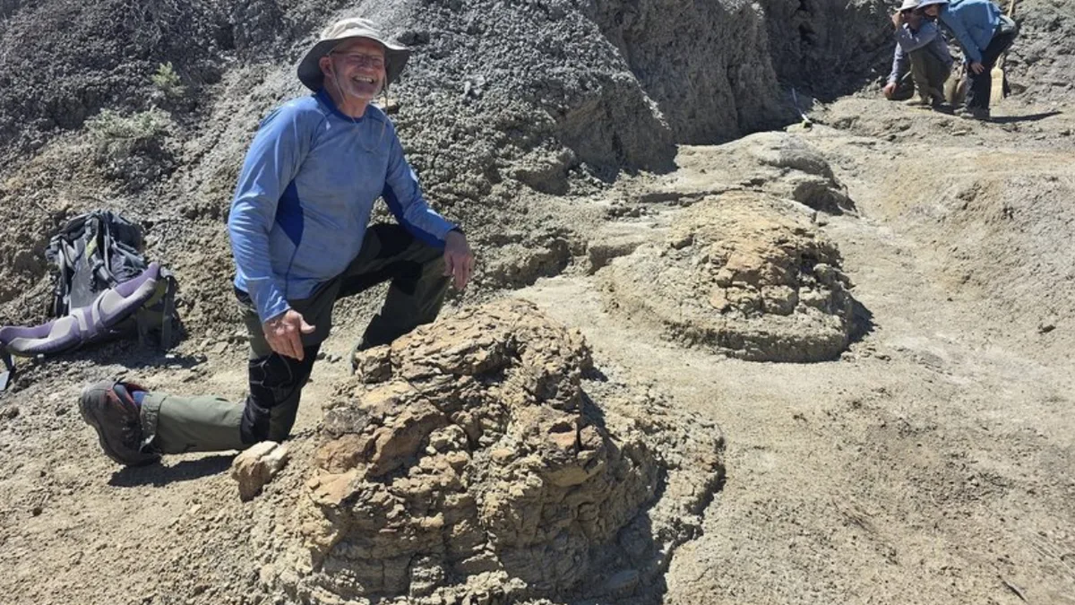 High school teacher discovers first reported T. rex trackway dating back 66.5 million years