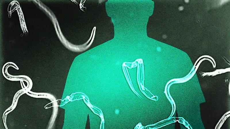 Why Alex infected himself with blood-sucking hookworms, and kept them